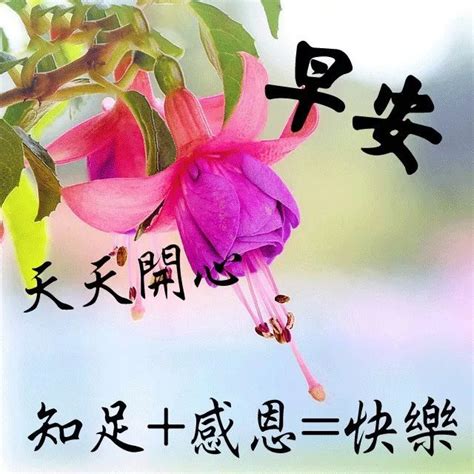 早上好免打字图片带祝福语 免打字暖心的春季早安问候祝福图片带字温馨|上好|打字-滚动读报-川北在线