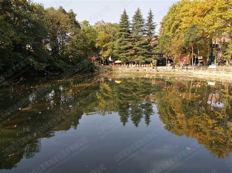 水塘图片_高山平原_自然风景-图行天下素材网