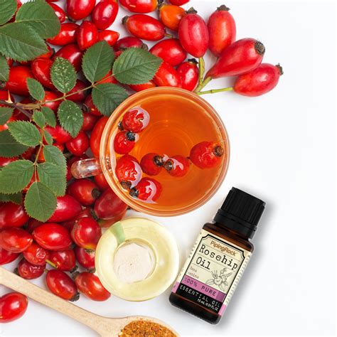 Rosehip oil is essential for your everyday skincare routine | Rosehip ...