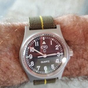 Image result for CWC Watche Sapphire