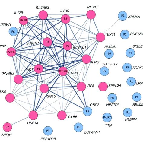 String Spring 的图像结果