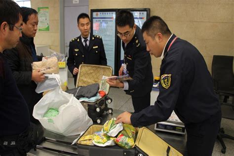 昆明机场出入境检验检疫局检出棕榈坚蚜