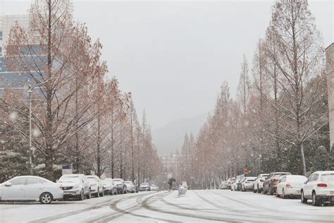 South Korea in December: Weather, Events & What Else to Expect