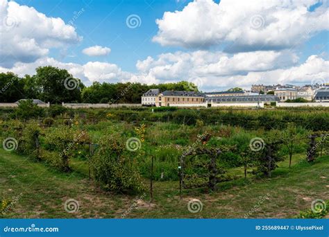 King S Kitchen Garden, Potager Du Roi, in Versailles, France Editorial Photography - Image of ...