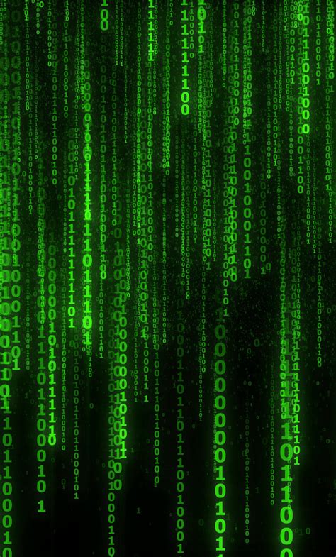 Image result for Matrix 12th Grade