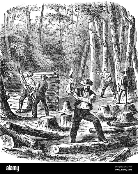 Was Jamestown The First English Settlement at Gabriel Basser blog