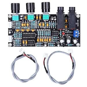 Electrobot XH-M273 Karaoke Microphone Amplifier Module – 12V DC Input ...