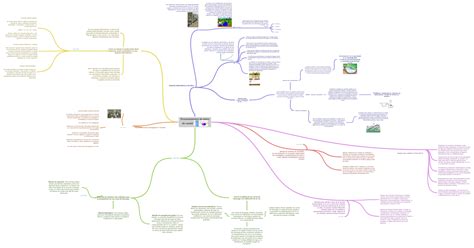 Procesamientos de datos de caudal datos de un caudal - Coggle Diagram