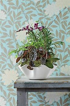 Indoor Garden Containers by Indoor Container Garden Ideas Southern Living Indoor Garden Containers