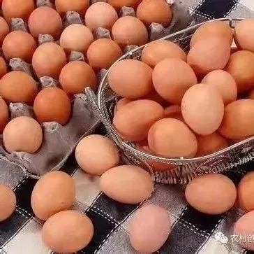 鸡蛋价格丨2021年12月05日鸡蛋价格行情,仅供参考_山东_北京_上海
