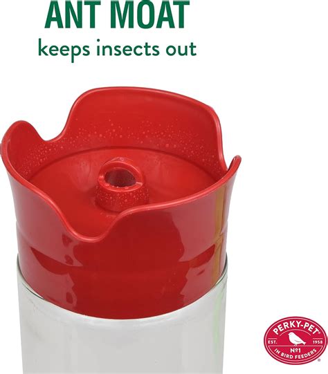 Perky Pet Hummingbird Feeder With Bee Guard at Savannah Cawthorne blog