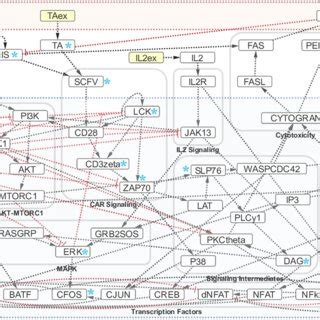 Mouse Cart Cell Image 的图像结果