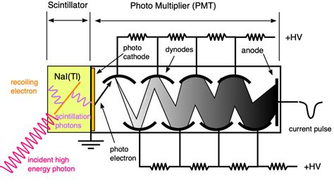 https://wanda.fiu.edu/boeglinw/courses/Modern_lab_manual3/_images/PMT.png