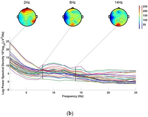 A Methodology for Enhancing SSVEP Features Using Adaptive Filtering ...
