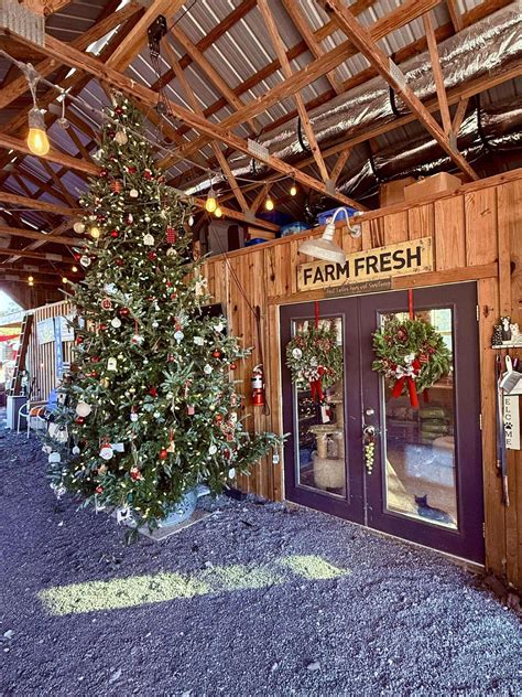 Art on the Farm: A Holiday Artist and Crafts Fair, 13028 Shadow Run ...