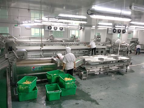 【我们的新时代】宾川水果加工产业喜迎“智囊团”_腾讯新闻