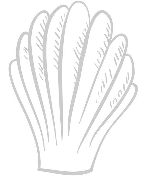 Shell Texture Vector 的图像结果