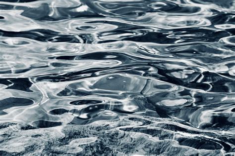 Aquaculture 的图像结果