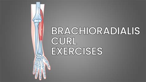 5 Best Brachioradialis Curl Exercises (with Pictures!) - Inspire US