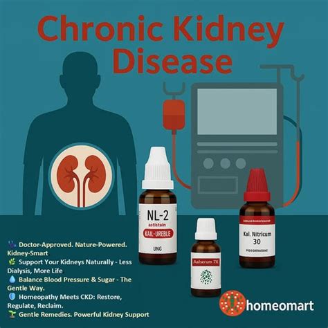 Homeopathy Medicines for CKD & Kidney Failure | Natural Support for ...