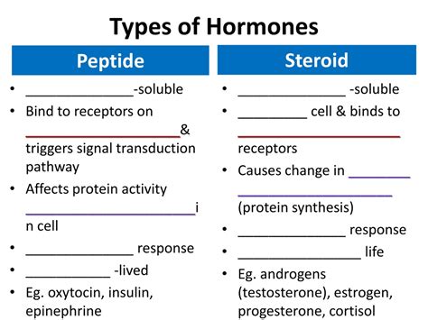 PPT - Hormones and Endocrine System Essence PowerPoint Presentation, free download - ID:9154452