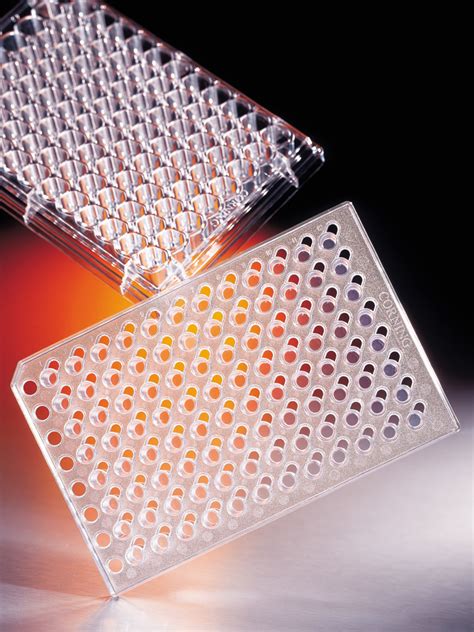 3387 | Corning® HTS Transwell®-96 Permeable Support with 5.0 µm Pore ...