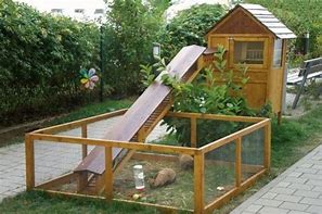 Image result for Indoor Rabbit House Ideas