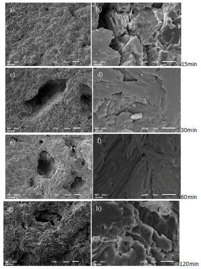 Cavitation Wear of Basalt-Based Glass Ceramic
