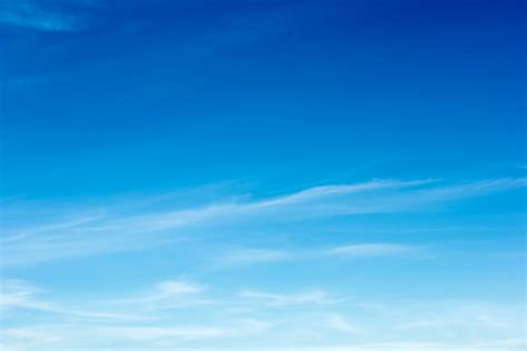 200+ Things That Are Blue in Nature (Full List and Photos) | Color Meanings