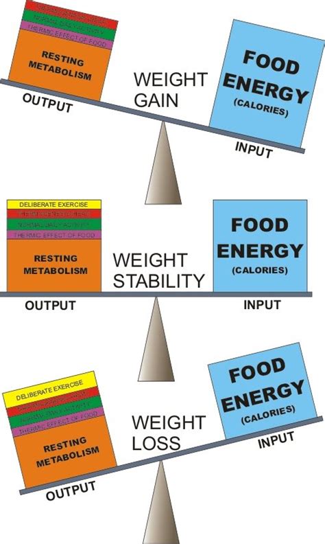 What is 'healthy eating' ? | Pilates, Fitness, Barre, Yoga, Nutrition ...