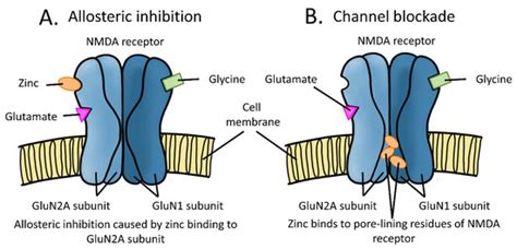 Pharmaceuticals | Special Issue : NMDA Receptor-Based Therapeutics