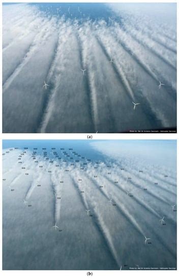 Wind Farm Wake: The 2016 Horns Rev Photo Case