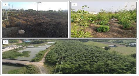 Sustainability | Special Issue : Emerging Green Technologies for Solid ...