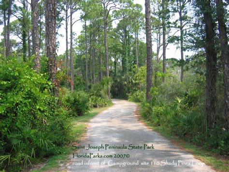 Shady Pines Campground Maine: Camping & RV Sites