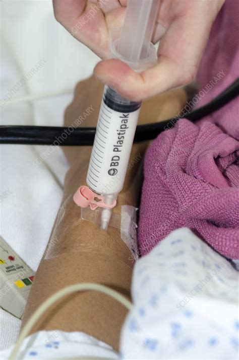 Apply Anesthetics 的图像结果