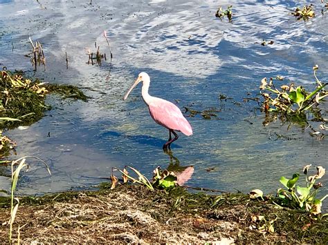 John Prince Park Campground | Lake Worth, FL