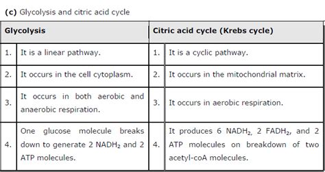 Respiration in Plants ncert solution class 11 Biology