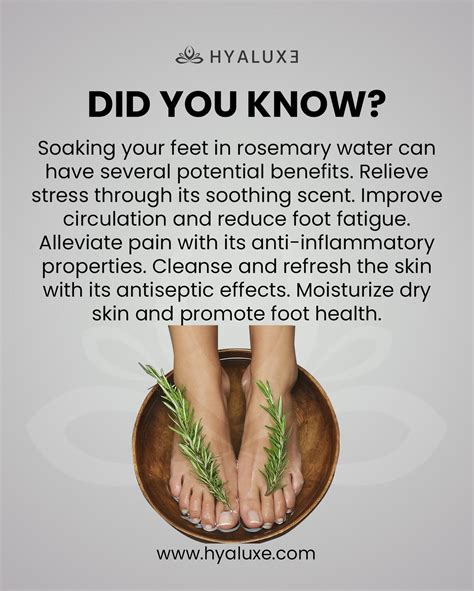 Hyaluxe Body™ on Instagram: "Have you ever tried soaking your feet in rosemary water 💦 tag ...