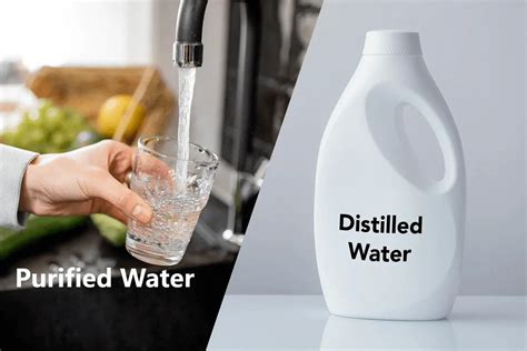 Purified Water vs Distilled Water, Which is Better?