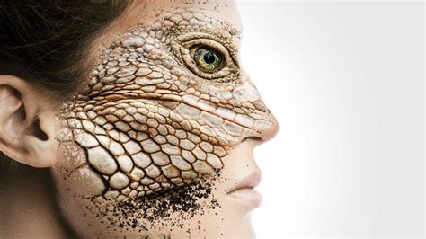 Image result for Alien Theory Decouvertes