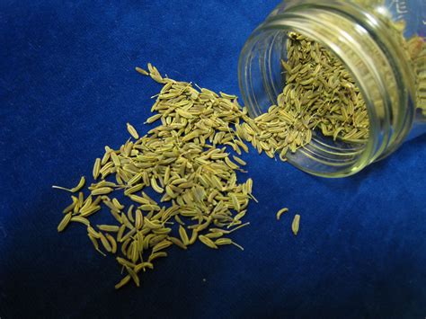 Cumin Translate English To Spanish at Nathan Frank blog