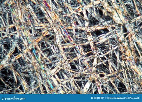 Paper under the microscope stock image. Image of micro - 82018001