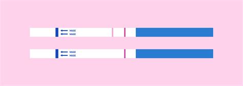 How to Interpret Your Pregnancy Test Results Accurately – Access ...