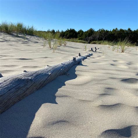 Sand Lake Recreation Area Camping | The Dyrt