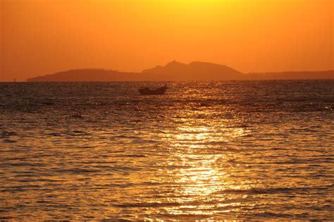 金色海洋(杨真) - 全球摄影网第二届夕阳红摄影大赛参赛作品 - 全球摄影网