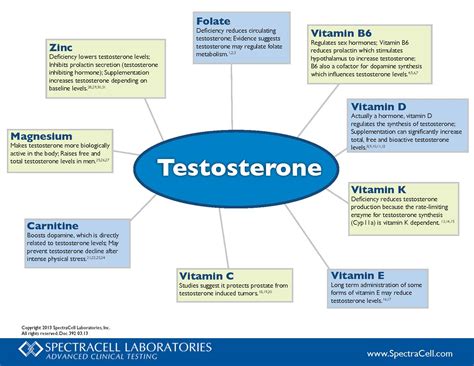 Essential Nutrients Required For Testosterone Production In 2026