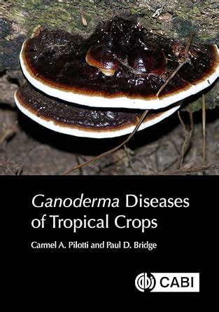 Ganoderma Diseases of Tropical Crops eBook : Pilotti, Carmel A., Bridge ...