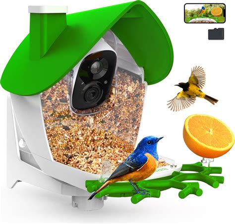 Amazon.com : SOLIOM BF09 Bird Feeder with Camera Wireless Outdoor,Smart ...