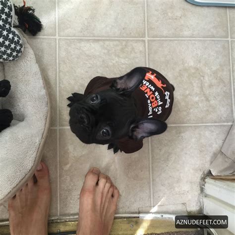 ALLENINA W. Feet - AZNudeFeet