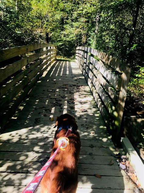 Fun Day at Anson B Nixon Park — Lisa Pascarell